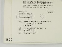 登錄號:F0004050藏品圖，第2張