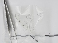 登錄號:F0004051藏品圖，第1張