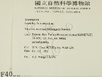 登錄號:F0004052藏品圖，第2張