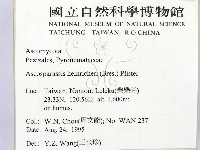 登錄號:F0004053藏品圖，第2張