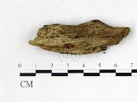 登錄號:F0004054藏品圖，第1張