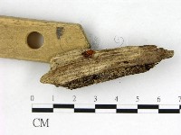 登錄號:F0004054藏品圖，第3張