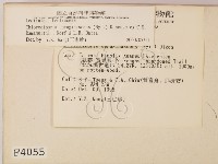 登錄號:F0004055藏品圖，第2張