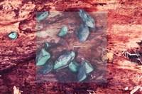 登錄號:F0004055藏品圖，第3張