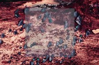 登錄號:F0004055藏品圖，第4張