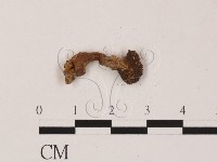 登錄號:F0004056藏品圖，第1張