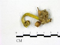 登錄號:F0004057藏品圖，第1張