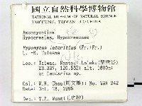 登錄號:F0004058藏品圖，第2張