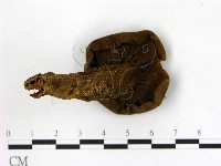 登錄號:F0004058藏品圖，第3張