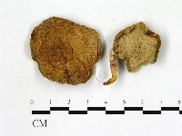 登錄號:F0004059藏品圖，第1張