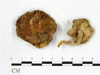 登錄號:F0004059藏品圖，第3張