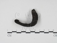 登錄號:F0004060藏品圖，第1張