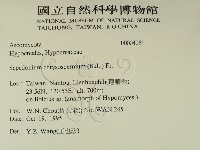 登錄號:F0004061藏品圖，第2張