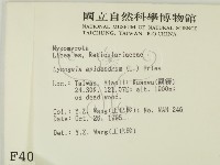 登錄號:F0004062藏品圖，第2張