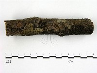 登錄號:F0004063藏品圖，第4張