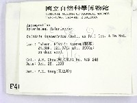 登錄號:F0004064藏品圖，第2張