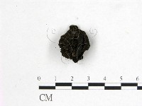 登錄號:F0004064藏品圖，第1張