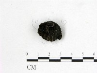 登錄號:F0004064藏品圖，第3張