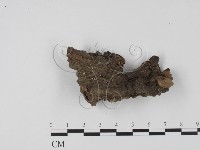 登錄號:F0004065藏品圖，第1張