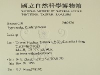登錄號:F0004066藏品圖，第2張