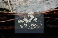 登錄號:F0004066藏品圖，第4張