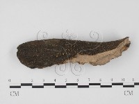 登錄號:F0004067藏品圖，第1張
