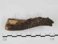 登錄號:F0004067藏品圖，第3張