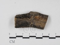 登錄號:F0004068藏品圖，第1張