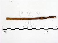 登錄號:F0004069藏品圖，第3張