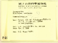 登錄號:F0004070藏品圖，第2張