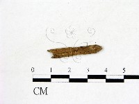 登錄號:F0004070藏品圖，第1張