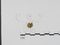 登錄號:F0004071藏品圖，第1張