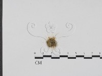 登錄號:F0004071藏品圖，第3張