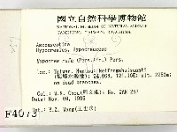 登錄號:F0004073藏品圖，第2張