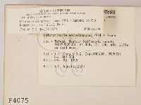 登錄號:F0004075藏品圖，第2張