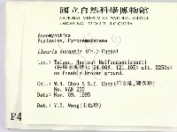 登錄號:F0004076藏品圖，第2張