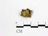 登錄號:F0004076藏品圖，第3張