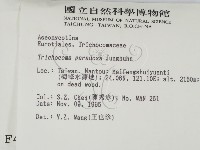 登錄號:F0004077藏品圖，第2張