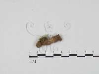 登錄號:F0004077藏品圖，第1張