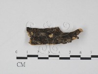 登錄號:F0004078藏品圖，第1張