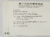 登錄號:F0004079藏品圖，第2張