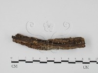 登錄號:F0004079藏品圖，第3張