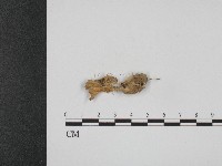 登錄號:F0004080藏品圖，第3張