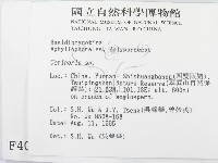 蠟孔菌屬藏品圖，第2張