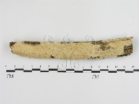 登錄號:F0004084藏品圖，第1張