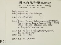 登錄號:F0004085藏品圖，第2張
