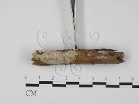 登錄號:F0004085藏品圖，第1張