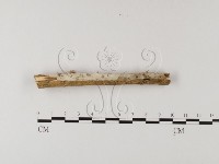 登錄號:F0004086藏品圖，第4張