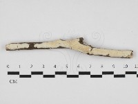 登錄號:F0004088藏品圖，第1張