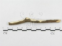 登錄號:F0004088藏品圖，第4張